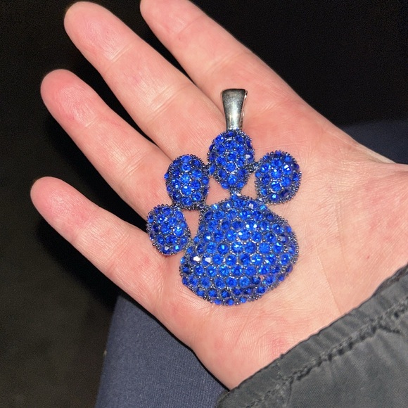 NCAA Kentucky wildcats magnetic necklace charm - Picture 7 of 7